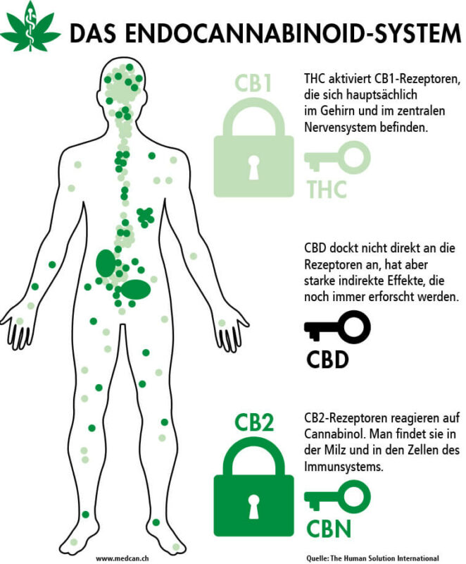 CannaTrust Wiki