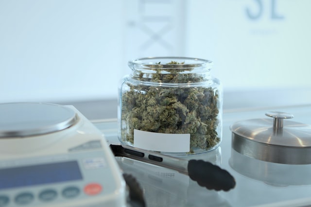 Großteil der Deutschen für Cannabislegalisierung zu medizinischen Zwecken
