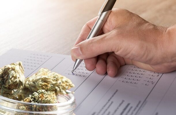 Geplante Cannabis-Legalisierung umstritten