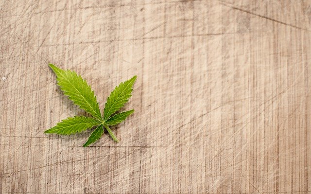 Cannabis Legalisierung Suedafrika