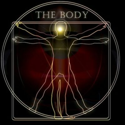 THE BODY und THE BODY TEC