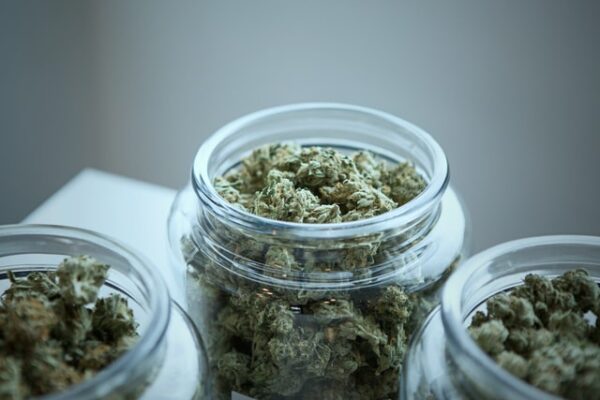 Gesetz zur Legalisierung von Cannabis