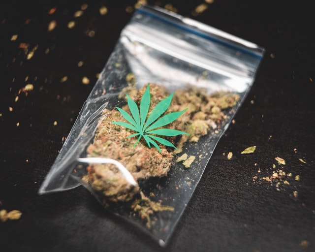 Cannabis als Medizin in Deutschland