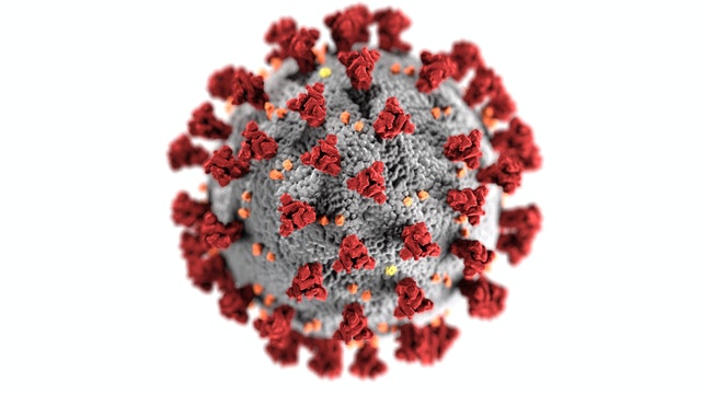 CBD bei Viren Corona Hepatitis Herpes