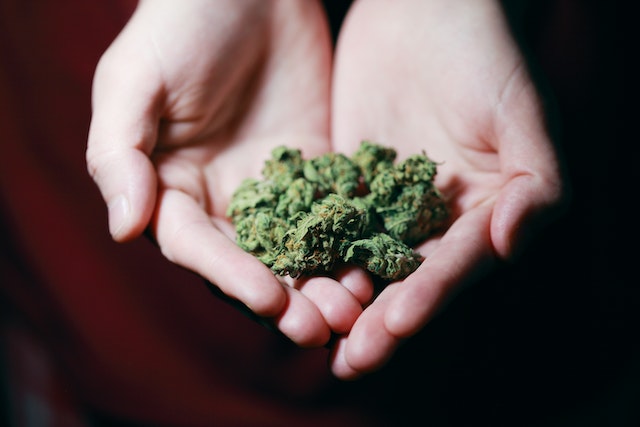 Cannabis Verbände wollen keine größeren Hürden für medizinisches Cannabis
