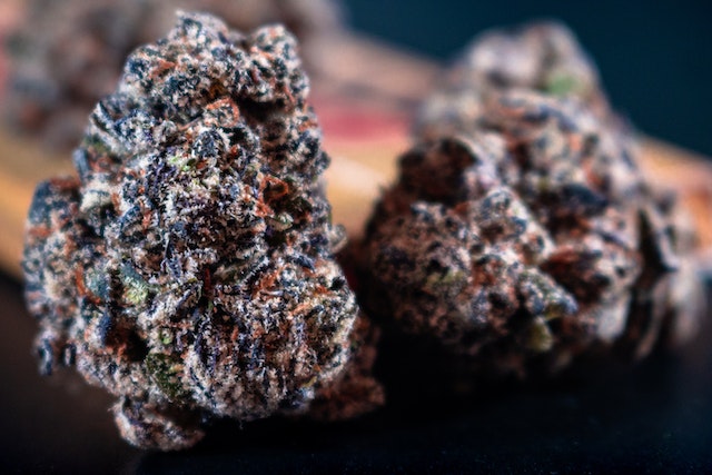 Gutachten für die Cannabislegalisierung