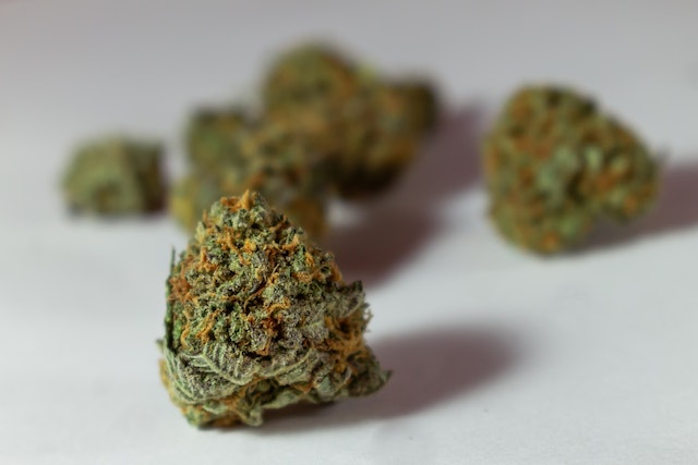 Forderung nach Cannabisblüten als Fertigarzneimittel