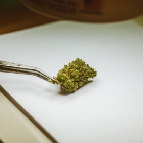 Keine weiteren Hürden für Cannabis auf Rezept